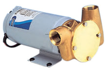 Load image into Gallery viewer, JABSCO® 23920-9423 RUN DRY UTILITY PUPPY 2000 SERIES PUMP (3/4&quot; BSP) (12V)