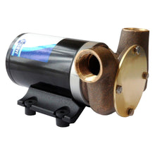 Cargar imagen en el visor de la galería, JABSCO® 23920-2523 RUN DRY UTILITY PUPPY 2000 SERIES PUMP (3/4&quot; BSP) (24V)