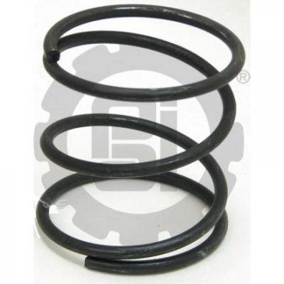 PAI 960020 DANA 277C-403 SLEEVE SPRING (EASY PEDAL)